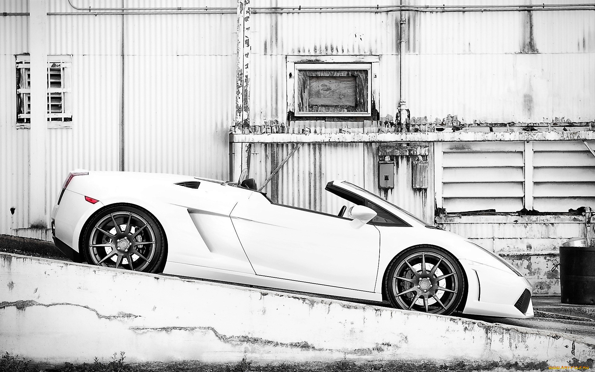 , lamborghini, , , 